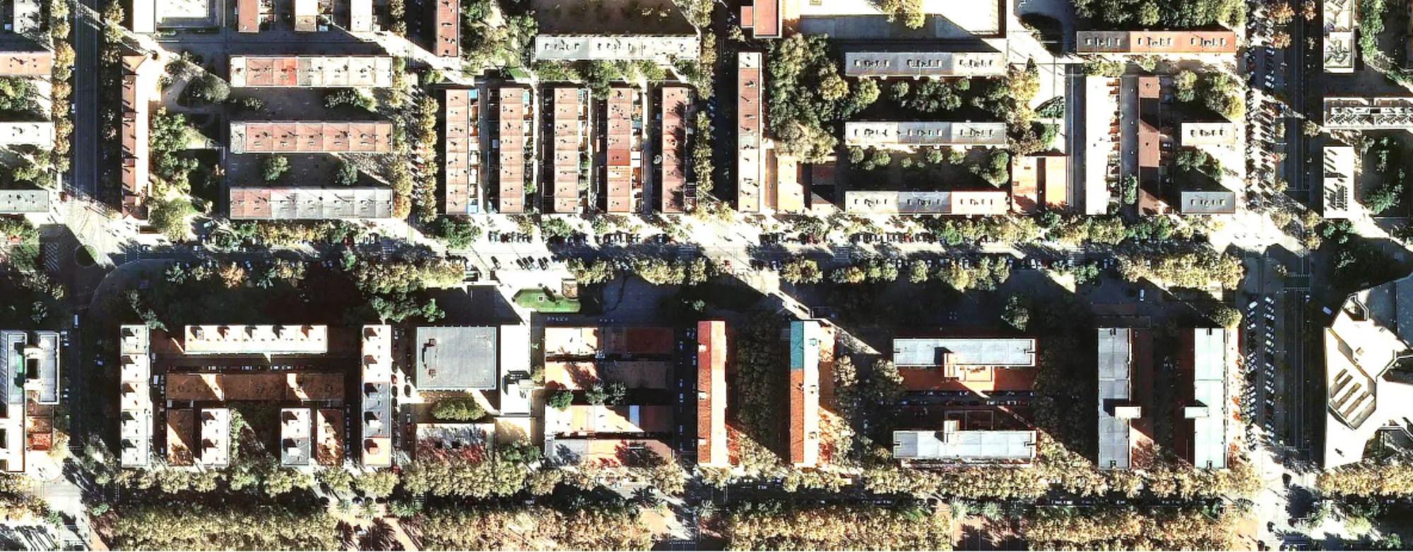 Reurbanitzacio Alfons el Magnanim 04 Projecte de reurbanització del carrer Alfons el Magnànim