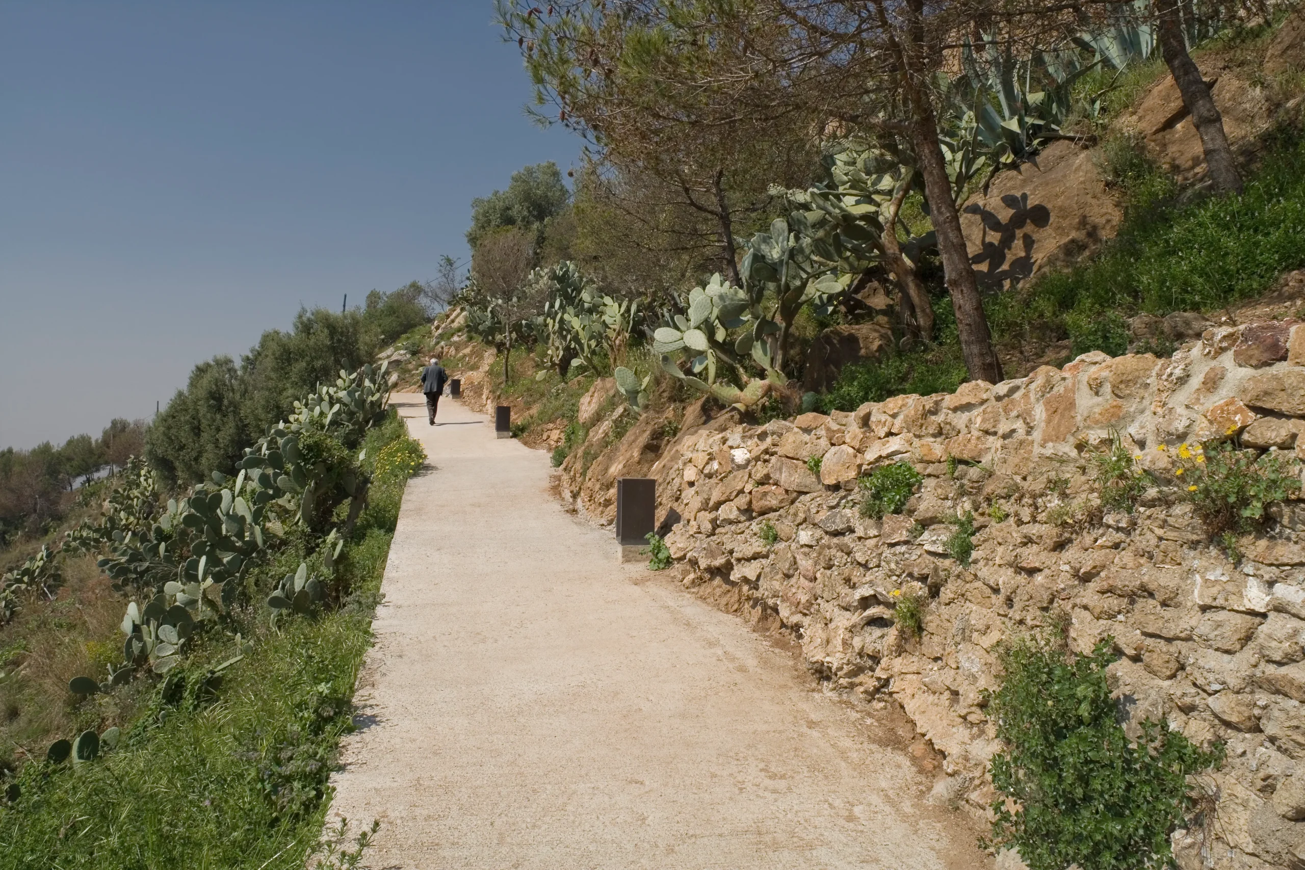 Restauració de les Bateries antiaèries del Turó de la Rovira