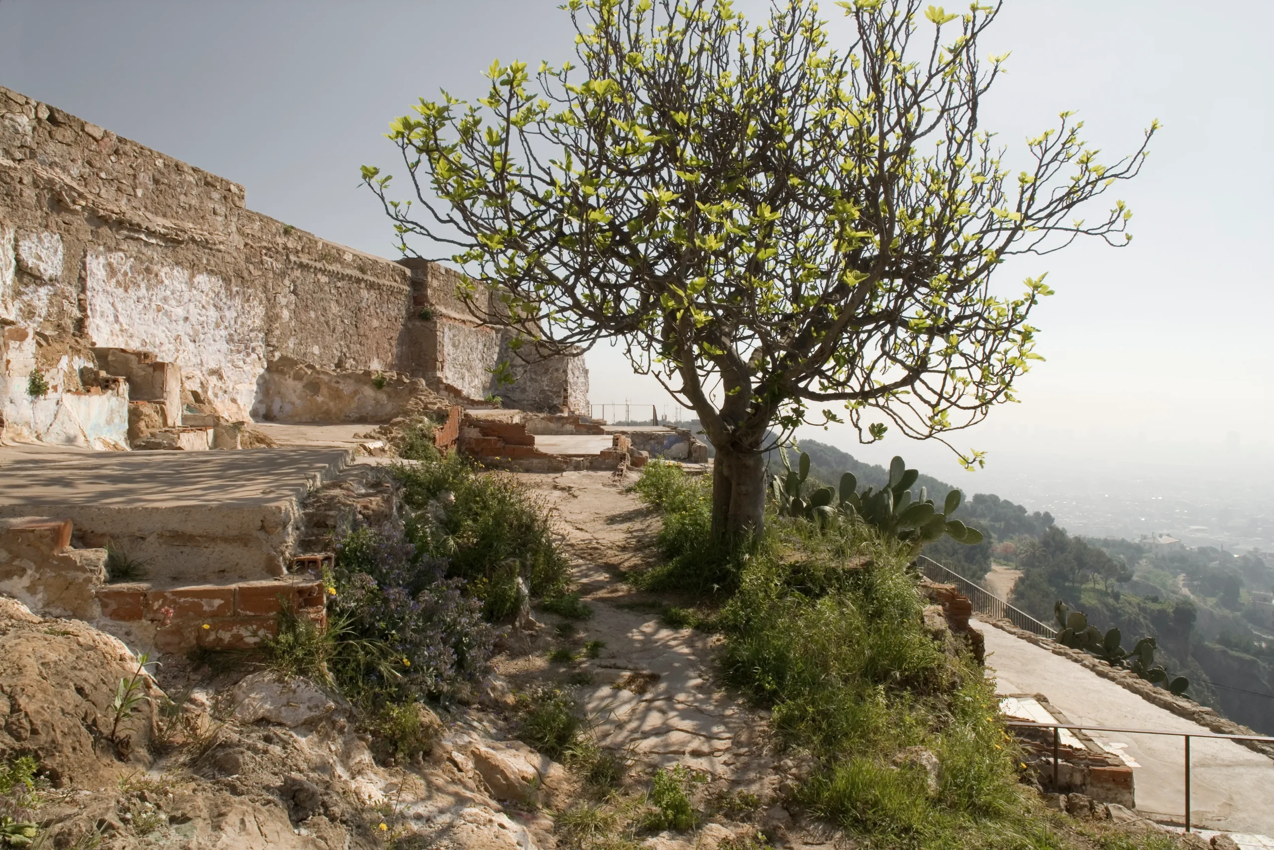 Restauració de les Bateries antiaèries del Turó de la Rovira